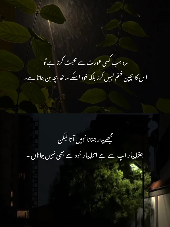 💯#fyp #tiktok #viralvideos #foryoupageofficial #foryou #trndingvideo #foryoupage #urdupoetry #shayeri__status__lovers 