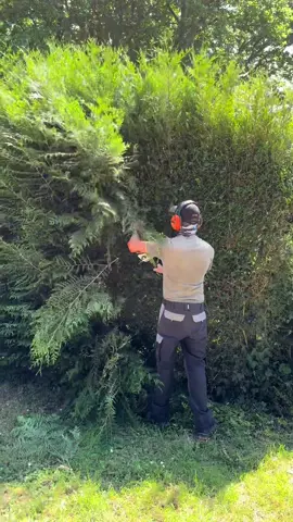 #paysagiste #satisfyingvideos #pourtoii 