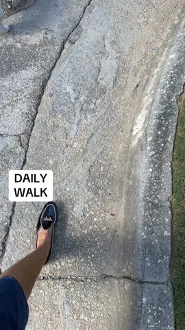 #dailywalk #dogsoftiktok #jackrussellsoftiktok #bluetickbeaglesoftiktok 