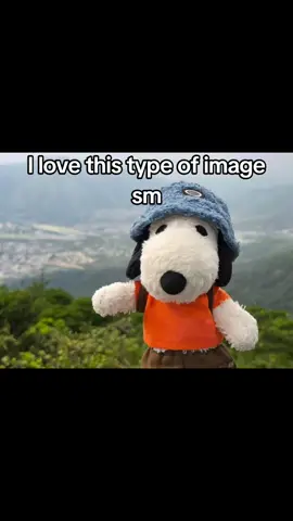 I love when ppl take there stuffies on vacation #stuffedanimals #stuffies #vacation #pictures #vacationpics #stuffedanimaltiktok #aesthetic  #picture 