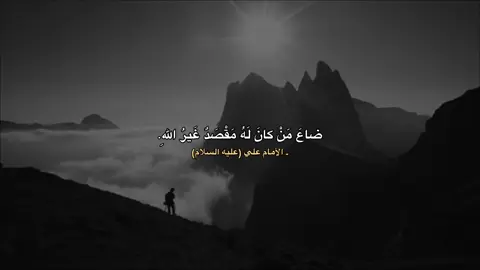 قناتي بالبايو | #الامام_علي_بن_أبي_طالب_؏💙🔥 #عبارات #اقتباسات  #اقوال #حكم 