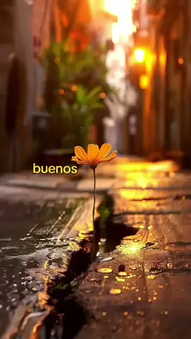 #juangabriel  #buenosdiasseñorsol 