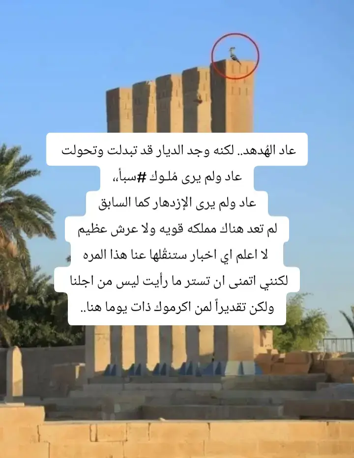 #اليمن مملكة سبأ 