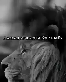#fyp #on #врекомендациипопадем #рек #чечня95 #топ #Tatcha #ингушетия #вайнахи #ислам #ислам_религия_мира_добра #врекомендации #хьехамладог1а #хьехамаш #capcut 
