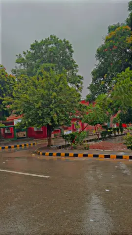 جاناں ؀ تم پھول لانا میں عشق سمجھو گا 🥹🌹❤️🌍 #virel #virel_video #pleasetiktokteamviralvideo💯 #foryou #support_me #underreview #growaccount #reels__tiktok 