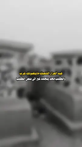 هيه العزاز  #مقبره_وادي_السلام💔😞 #فقيدي #فقيدتي #محرم_1443_ويبقى_الحسين #تكله_اخر_كعده_طول_وياي #مقبره_وادي_السلام 