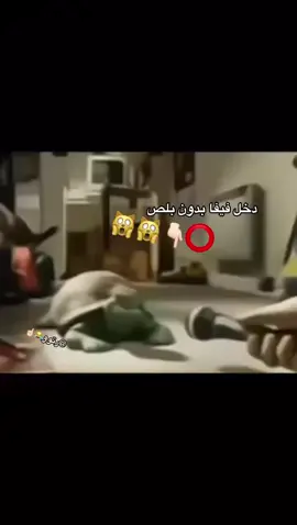 امجيزاني دخل بدون بلاص🙀🙀😻#tiktok #الشعب_الصيني_ماله_حل😂😂 #فيفا #اكسبلور #اكسبلورexplore #ترند #بندريتا 