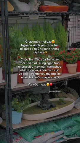 “Mãi yêu moaaa😘🥰” #suyymottchut #viral #fyp 