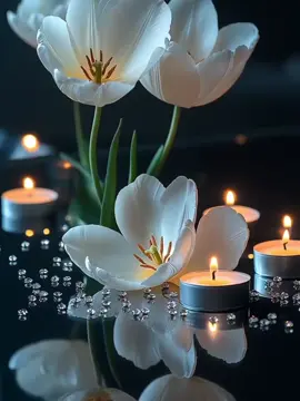 #naat#foryour❤️❤️🌹 #tiktokvideos #foruoupage #unfreezemyacount #1millionaudition #tiktoksearchengine 