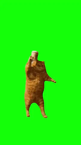 Dancing cat meme #cats #catsoftiktok #meme #greenscreen #memes #greenscreenmemes #fyp #meme #memevideo #workmemes #relatable #funnyvideo #idgaf #memecontenyt #trending #officehumor #capcutedit #memecut #funnyreels #memeoftheday #tiktok #ig #bestoftiktok 