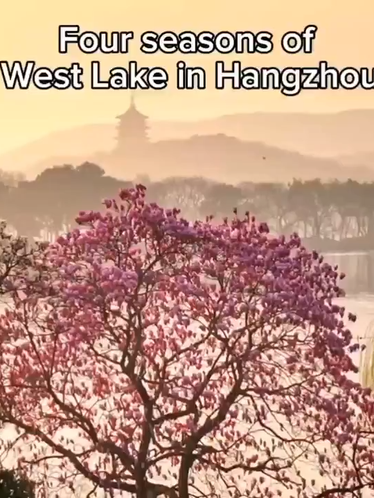 The four seasons of #Hangzhou’s West Lake—a living poem. #ChinaTravel