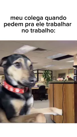 pensa num bicho que reclama