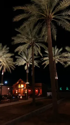 ياسقى الله ليلتنٍ بك عرفتنا🎶 #viral 