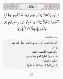 #موصل_بغداد_كركوك_حله_نجف_بصره_اربيل_دهوك #هةولير_سليمانى_دهوك_كةركوك_رانية_زاخو 