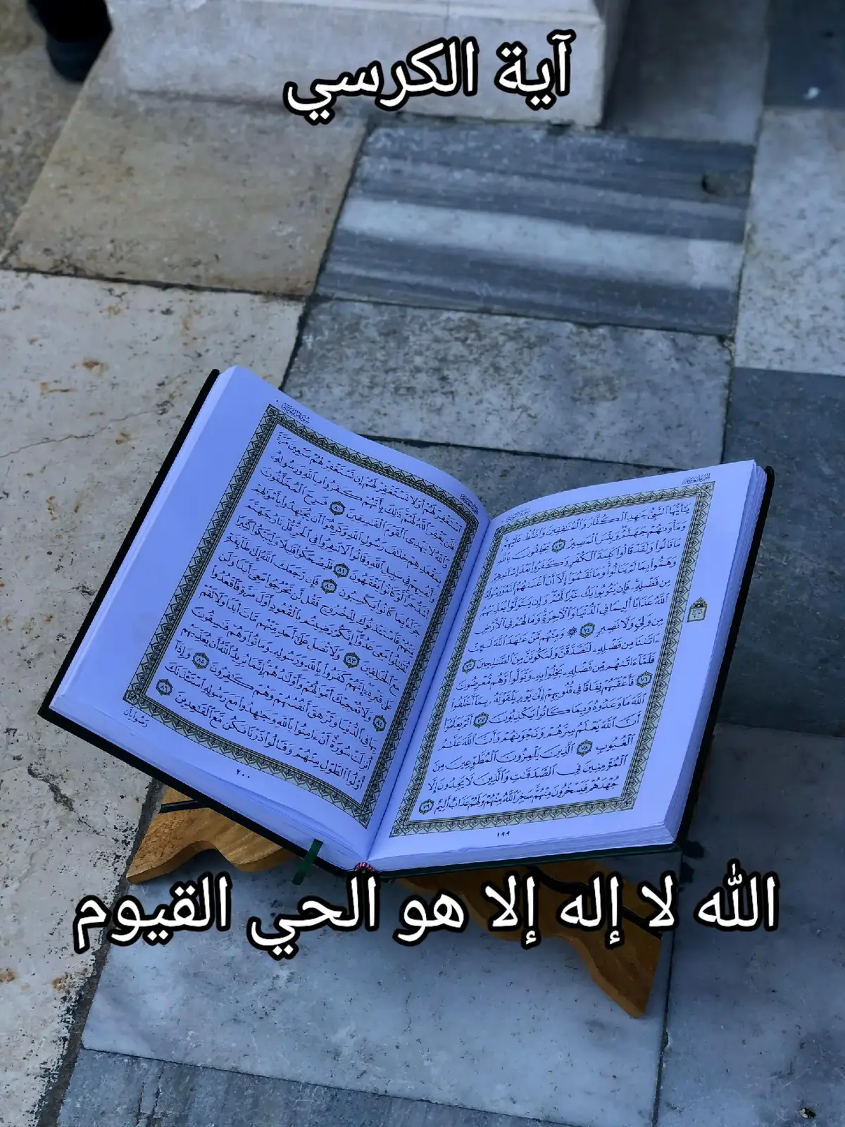 آية الكرسي وسورة الاخلاص وسورة الفلق وسورة الناس✨🌿❤️‍🩹❤ #سعد_الغامدي #الحمدالله_علی_کل_حال❤ #اية_الكرسي #قران_كريم #سبحان_الله_وبحمده_سبحان_الله_العظيم #تلاوة_خاشعة #الريتش_في_زمه_الله💔😣 