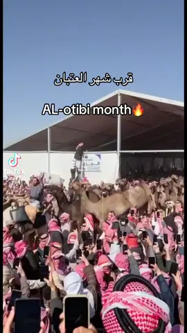 لطمات ابن دغيثر #الشيابين #عتيبه 