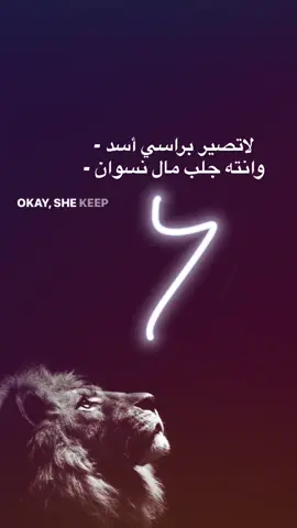 لاتصير براسي اسد -#yo #on #fypdongggggggg #fyp #صور 