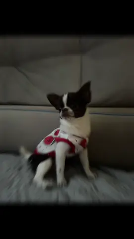 😍😍😍