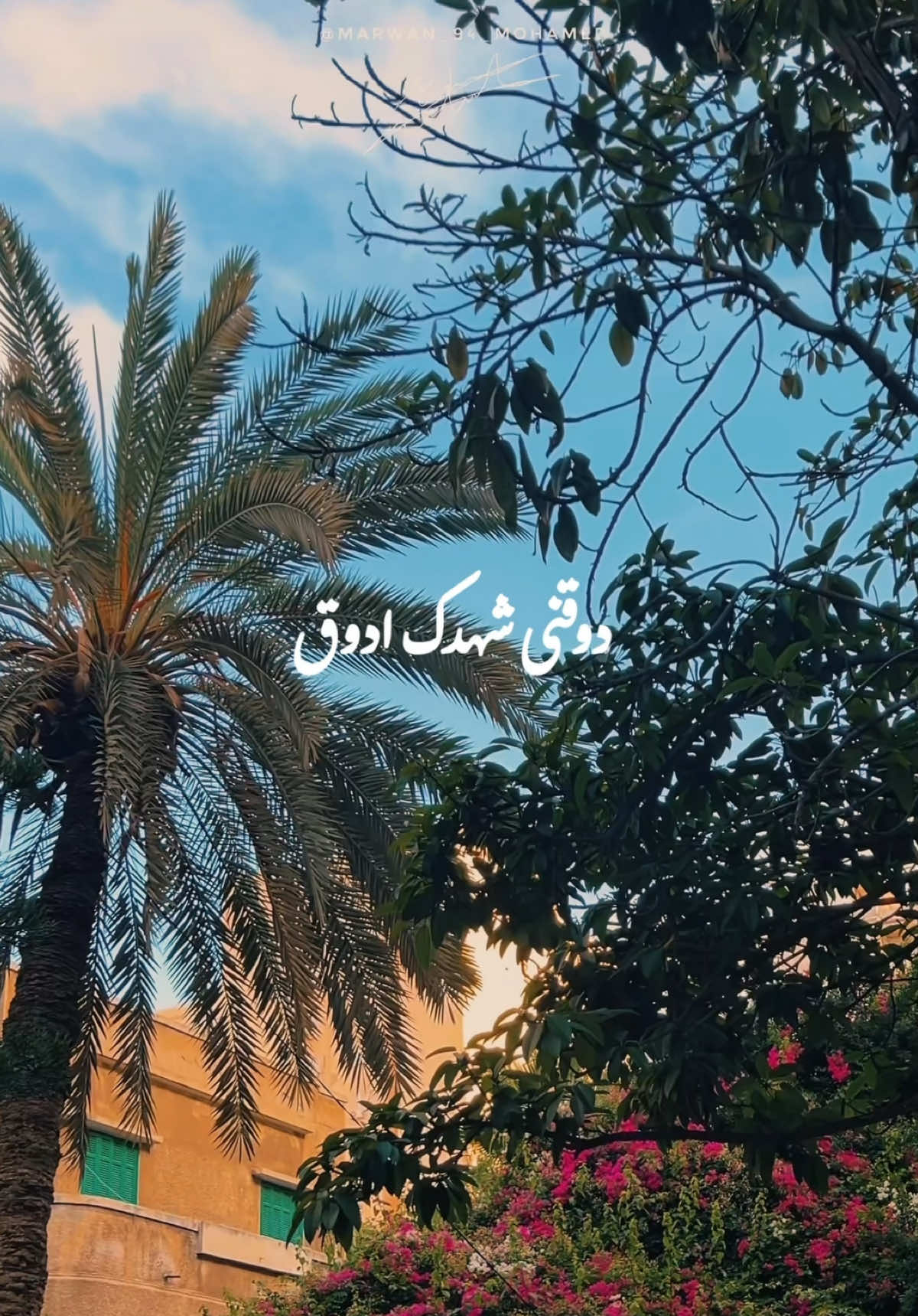 عملي تعلي الذوق..✨👑 #تامرحسني #محمدمنير#تامر_حسنى #محمد_منير #الكينج #الكينج👑 #الكينج_محمد_منير #محمد_منير_الكينج #الذوق_العالي_ده_غرامي #تامر_حسني_قصة_عشق_لاتنتهي 