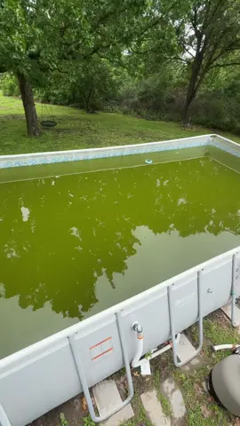 Pool transformation #fyp #pool #viral 