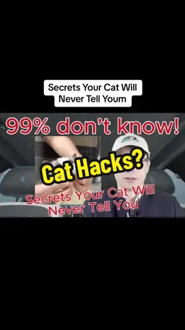 Episode 671: Secrets Your Cat Will Never Tell You#dog #dogsoftiktok #dogs #dogsoftiktok #cat #catsoftiktok #relax #learn #iphone #play #game #water #science #education #magic #tips #tipsandtricks #lifehacks #LifeHack #Lifestyle #lifetips