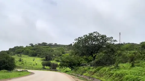 💫#salalah 