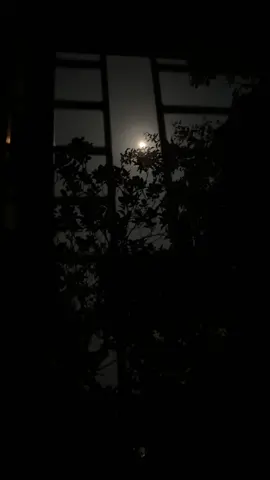 তুমি তো আমার কান্না মলিন হওয়া লাল চোখ দেখো নি তাহলে কেমনে বোঝবে আমার ভালোবাসা 😅❤️‍🩹!          #foryoupage #moon_lover_29 #moon #videography #viral #foryou 