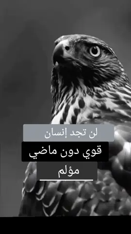 #الحمدلله_دائماً_وابداً_على_كل_حال #مشاهدات 