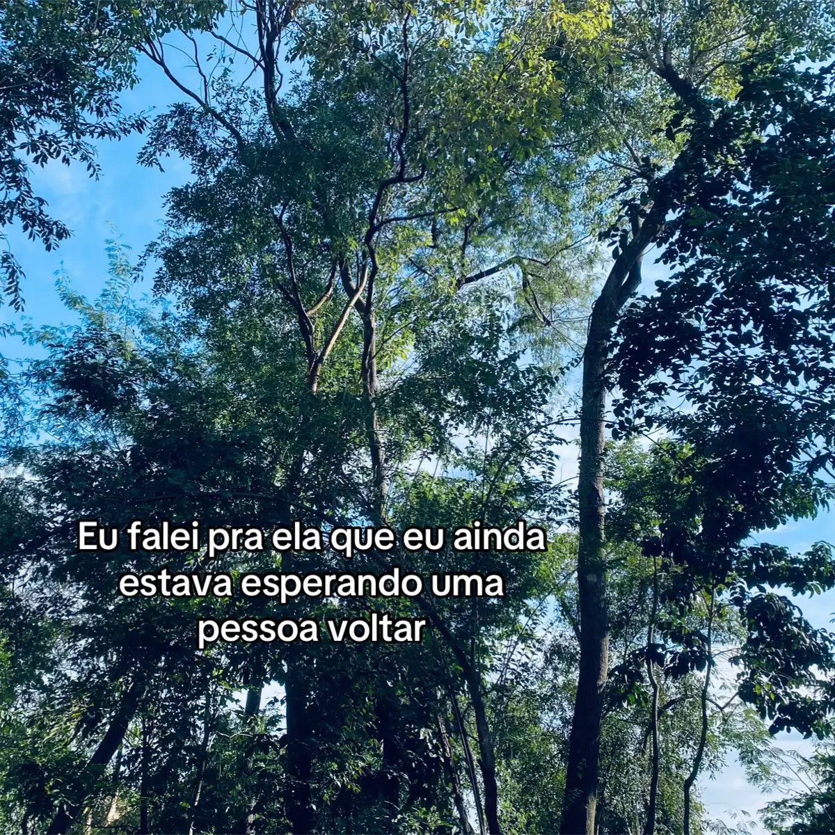 alguem paga a minha terapia? #foryoupage #fpyシ #fpyyyyyyyyyyyyyyyyyyyyyy #hollyfnkairball #arcane #isha #lenguesoflegends 