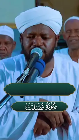 #شيخ_نورين_محمد_صديق #سودانيز_تيك_توك_مشاهير_السودان🇸🇩 #تلاوه_سودانية #تلاوه_سودانية #الشعب_الصيني_ماله_حل😂😂 