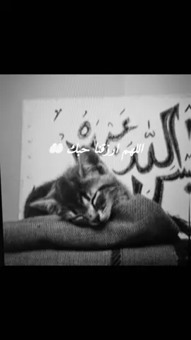 #CapCut #islam #islamic_video #followers #foryou 