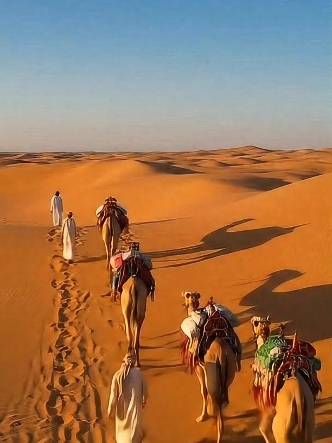 فِي الشِّدَّةِ... لَا يَبْقَى إِلَّا الصَّدِيقُ