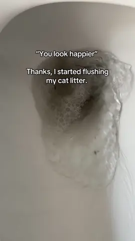 Flushing cat litter really is the cheat code to pure happiness. It makes scooping and cleaning the litter box x10s easier. #bestcatlitterbox #bestcatlitter #tofucatlitter #catmom 
