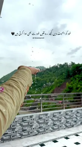 دل کو لگا کہ لٹ جانا عشق ہے🍁 #fyp #daneenqureshi #1m #foryou 