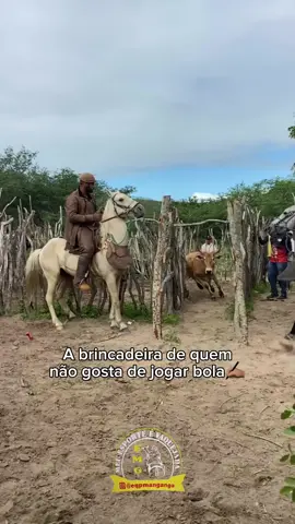 Brincadeira séria é boa visse. #EquipeⓂ️angangá🅰️MelhordaRegiã🅾️ #EquipeⓂ️angangá🅰️MelhordaRegiã🅾️ #forronotiktok #forronotiktok #forronotiktok  #pegadeboinomato #pegadeboinomato #video 