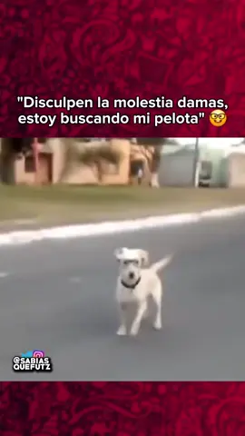 #parati 
