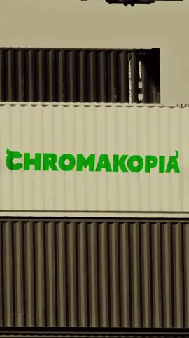 TWO NIGHTS OF TYLER THE CREATOR THIS WEEK #tylerthecreator #chromacopia #chromacopiatour #tylerconcert #brooklyn 