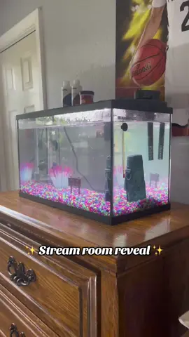 Would you play in this room??? Or this setup? #gaming #streaming #streamer #live 