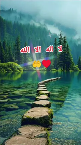 #❤️❤️❤️❤️❤️❤️ #🤲🤲🤲🤲🤲 #اللهم_صلي_على_نبينا_محمد #اللهم_صلي_على_نبينا_محمد #2025 #الحمد لله ربي العالمين#🇩🇿🇩🇿🇧🇪🇧🇪🇹🇷🇹🇳🇸🇦🇵🇸🇵🇸🇵🇸🇲🇦🇩🇿🇩🇿 #🤲🤲🤲🤲🤲 