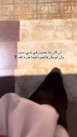 #الحمدلله🤍 #يارب❤️ #اللهم_إنا_نسألك_حسن_الخاتمة #🌸🤍 #اشهد_ان_لا_اله_الا_الله_وان_محمد_رسول_ #لايك_متابعه_اكسبلور #سبحان_الله_وبحمده_سبحان_الله_العظيم #الله_اكبر #استغفرالله_العظيم_واتوب_اليه #لا_اله_الا_الله #سرتنا_سرت_ليبيا💚🌻 