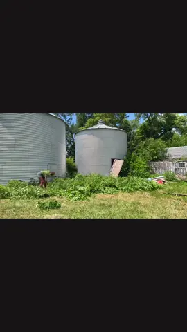 I’m beyond impressed! @Seesii Power Tools #minichainsaw #yardwork #overgrownyard #yardtools #countrylife #countryliving #iowa #homeimprovement #tiktokshop #needthat #