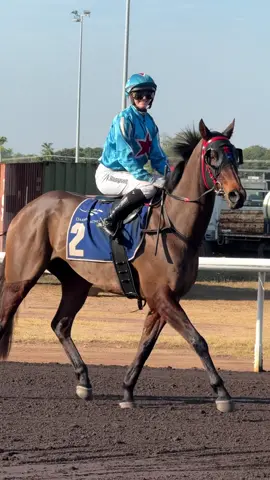 “Grinzinger Bishop” and Jade Hampson #horseracing #racehorse #thoroughbredsoftiktok #thoroughbred #horseracingtiktok #jockey #jockeyedit #horserace #racehorses #horseraceedit #horseraces #horse #horseedit