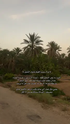 #اكسبلورexplore  #المجمعة  #foryou 