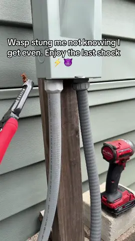 It was already dead because I sprayed it 🤣 #hvacjulian #hvactech #hvac #milwaukeetools #klien #electrician #bluecollar #hvaclife #hvacarmy #airconditioning #airconditioner #coolingsystems #uniweld #hvactrainingvideos #hvactroubleshooting #veto #vetopropac #milwaukeetools #milwaukeepackout #milwaukee #skillstrade #bluecollarpride #klientools #goodman  #daikinairconditioning