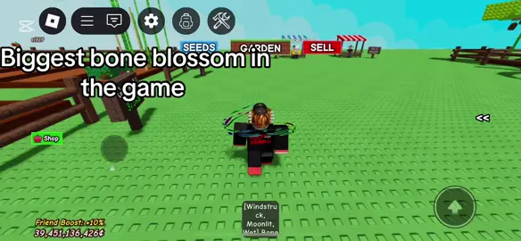 Biggest bone blossom in game #fyp #viral #growagarden #gag #boneblossom 