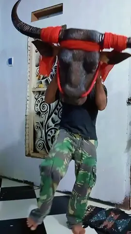 ready banteng kebo... siap dipinang... #bantengan  #bantengmaskot  #bantengnuswantara  #bantengmalang 