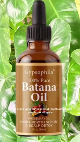 Batana oil  #batanaoil  #Gypsophilabatana  #hargasangatterjankau #CapCut 