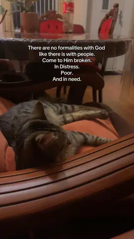 In any situation ❤️‍🩹 #fifi #mybaby #cutie #bengal #islamic #islamicreminder #faith #tawakkul #sabr #muslim #muslimtiktok #allah❤️ #bismillahfyp #fyp #fyppp #foryoupage❤️❤️ #foryouupage #foryouu #foryouuu #fypppppppppppppp 