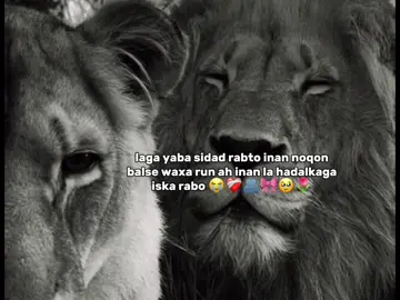 #fypシ゚ #love_saar❤ #4oryoupage #girllikeme #viwesproblem😌🙏💔 #girllllssss #🤴🏻✨️❤️🌷 #halamadrid🤍👑 #bestie🌷👯‍♀️❤️ #fyppppppppppppppppppppppppppppppppppppp 