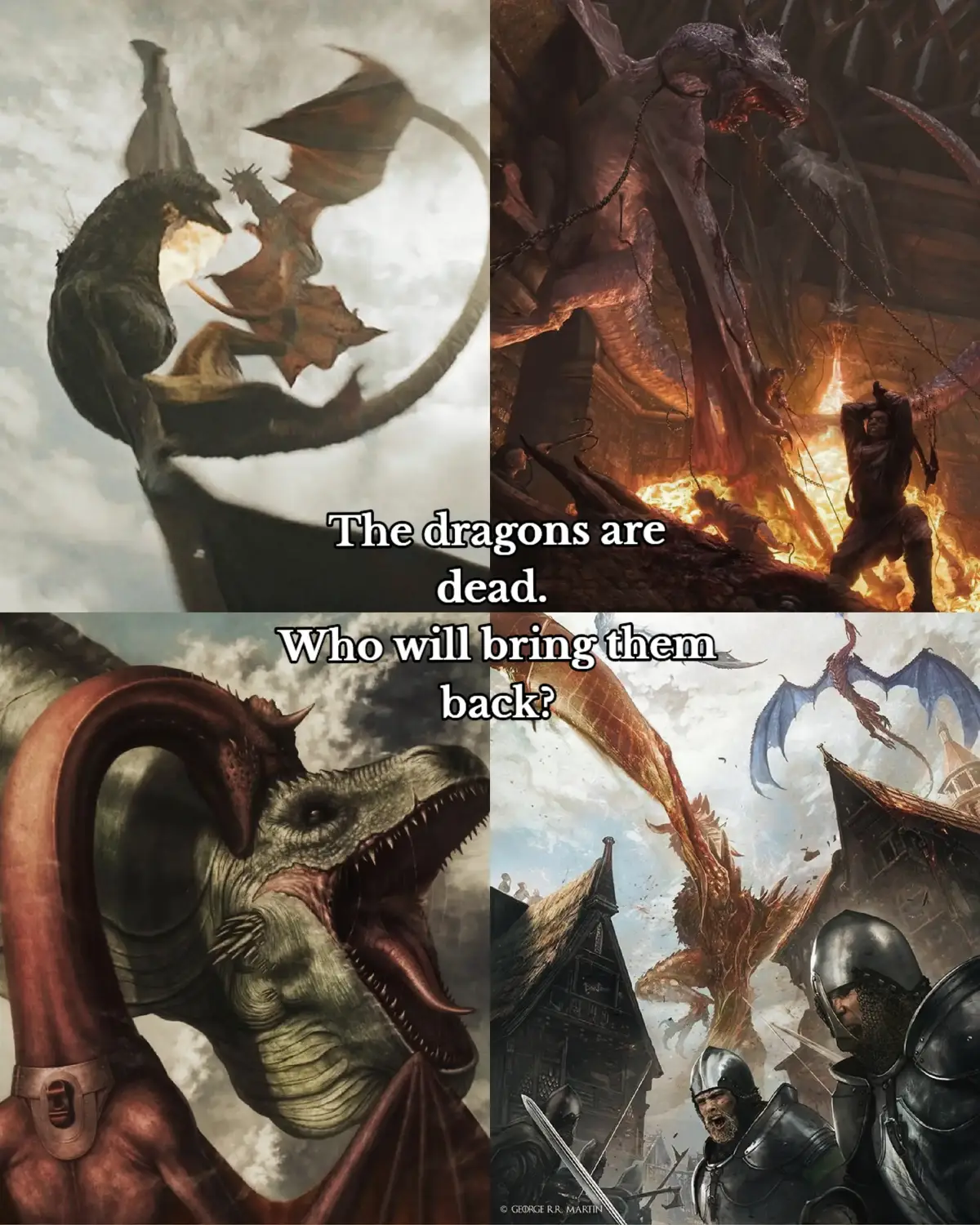 #foryoupage  #gameofthrones  #houseofthedragon  #asongoficeandfire  #fireandblood  #daenerystargaryen 
